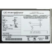 Pump,Circ,BWG Vico Ultima,115v,1-1/2"Center x 1-1/2"Side,OEM