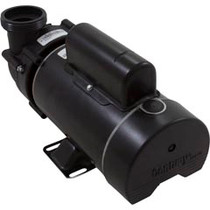 Pump, BWG Vico Ultima, 1.5SPL Century, 230v, 2-Spd, 48fr, 2" Pump, BWG Vico Ultima, 1.5SPL Century, 230v, 2-Spd, 48fr, 2"