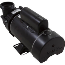 Pump, BWG Vico Ultima, 1.5SPL Century, 230v, 2-Spd, 48fr, 2"