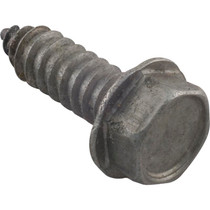 Screw, Pentair Sta-Rite, 5/16-14 x 1"