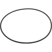 O-Ring, Pentair C-Series, Hair and Lint Strainer Body, O-88