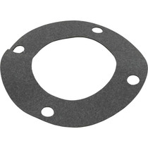 Gasket, Pentair C-Series, Flange
