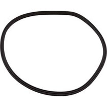 T-Ring, Hayward Northstar SP4000/4000X, Trap Body, pre-2008 T-Ring, Hayward Northstar SP4000/4000X, Trap Body, pre-2008