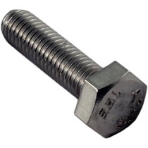 Bolt, Waterco SupaTuf/HydroStorm, M8x30mm 18-8