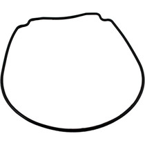 Gasket, Waterco HydroStar, Seal Plate