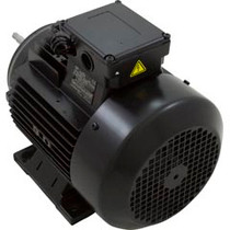 Motor, Century,5.0hp,208v-230v/460v,3ph,1-Spd,112Mfr