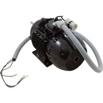 Motor, Century, 5.0 Horsepower, 208v-230v, 1 Speed, 112Mfr