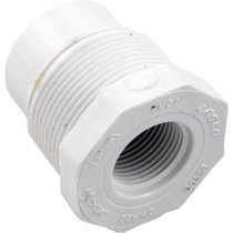 Check Valve, Hayward C250BR/500BR, 3/4"