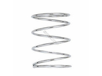 Spring, Blue-White, Stainless Steel