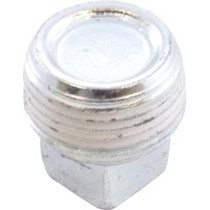 Plug, Pentair MasterTemp/Max-E-Therm, 3/4" mpt, Zinc