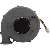 Blower Kit, Pentair MasterTemp 300, Nat.