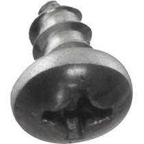 Screw, Pentair Minimax/Minimax Plus/PowerMax, 6 x 1/4"
