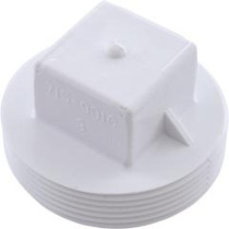 Plug, Waterway, 2" Male Pipe Thread Plug, Waterway, 2" Male Pipe Thread