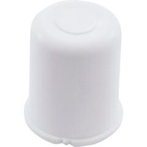 Plug, Lasco, 1/2" Slip