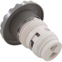 Jet Intl, CMP Spa Master, 3-1/2" fd, Roto, Adj, Scal, Gray Jet Intl, CMP Spa Master, 3-1/2" fd, Roto, Adj, Scal, Gray