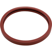 Gasket Kit, Pentair American Products Amerquartz, Light Lens