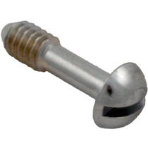 Light Lock Screw, Hayward, SP0500, SP0501, SP0502,Face Plate