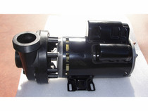 Sundance 1:30 Pump 2.5HP 230V 2Sp Theramax (No Mounting Bracket) Sundance 1:30 Pump 2.5HP 230V 2Sp Theramax (No Mounting Bracket)