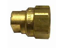 Brass Fan Female .5Gpm