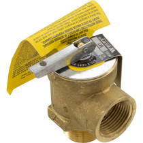 .75"Male H-Series Relief Valve
