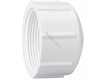 25/Bx 1.25" Fipt Cap 25/Bx 1.25" Fipt Cap