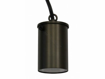 Antique Brass Hanging Light