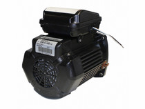 1Hp 115/208-230V 56Fr Black Sqfl Tefc Motor
