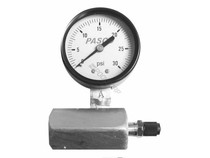 Gas Test Unit 0/60 Psi .75"