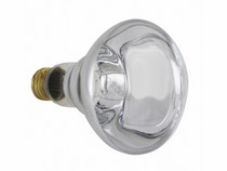Bulb 100W 12V R30 Med Base Bulb 100W 12V R30 Med Base