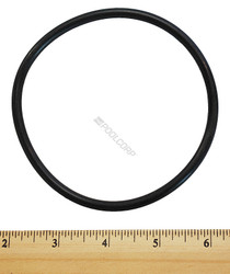 C3 Spacer/ Filter Lid/ Bulkhead Oring C3 Spacer/ Filter Lid/ Bulkhead Oring