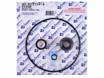 Viton Polaris Pb4 Pump Seal Kit (Before 12-1-11)