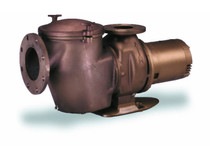 10Hp 1Ph Cm100 Pump 10Hp 1Ph Cm100 Pump