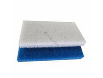 Blue Jumbo Scrub Bug