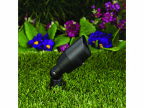 2.5W 36^ Black Warm Mr11 Bullet