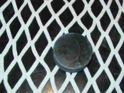 Mini-Mite Replacement Net