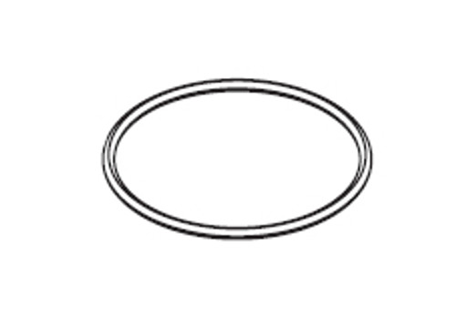 Waterway Hi-Flo Center Discharge 6in Trap Lid O-Ring # 805-0436 Waterway Hi-Flo Center Discharge 6in Trap Lid O-Ring # 805-0436