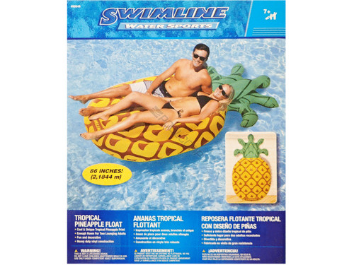 Tropical Pineapple Float Tropical Pineapple Float