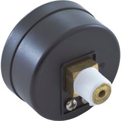 Pressure Gauge, Hayward, 1/4"mpt,0-60psi,Back Mount,Adj Dial