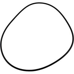 O-Ring, Zodiac Jandy C Series, Tank Body
