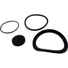 Seal Kit, Zodiac Jandy JS100-SM, Drain Fitting