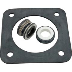 Seal Kit, Pentair Sta-Rite DuraGlas
