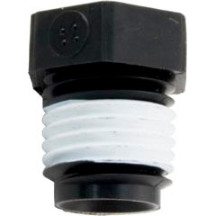 Plug, Pentair Sta-Rite, 1/4" Male Pipe Thread