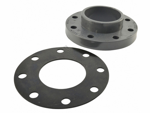 Flange Assy, Pentair EQ Series, Hair & Lint Strainer, 4"