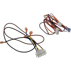 Ignition Ctrl Module, Pentair Minimax NT TSI, w/6800 Control