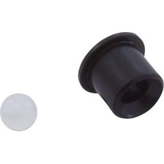 Check Valve Assembly, Waterway Poly Jet, Barb Air