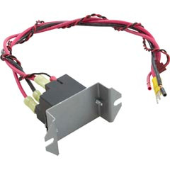 Relay, Zodiac/Polaris,RS/EOS/Sol 1000,SPDT,2-Spd,20A,220vac