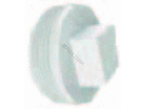 2"Mpt White Plug