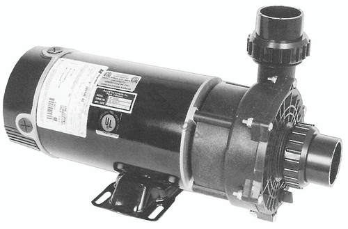 3Hp 230V 2-Speed Spa Pump