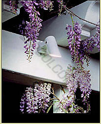 Ts-20-Cu Copper Trellis Solare