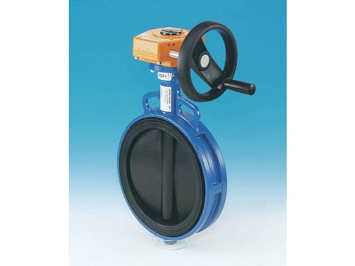 Gear Operated 2.5" Butterfly Valve Gear Operated 2.5" Butterfly Valve